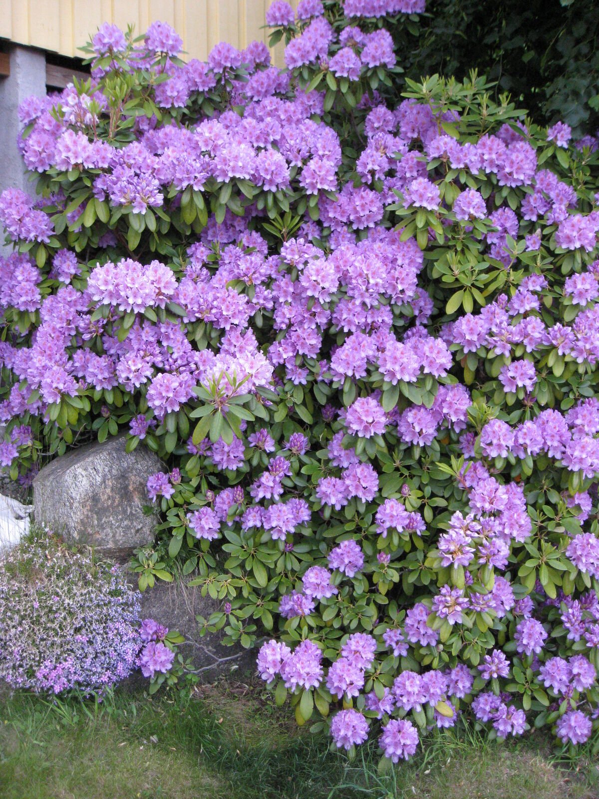 Image c1f4861b f3cf 4cb9 8bb4 66eef0f00e3f