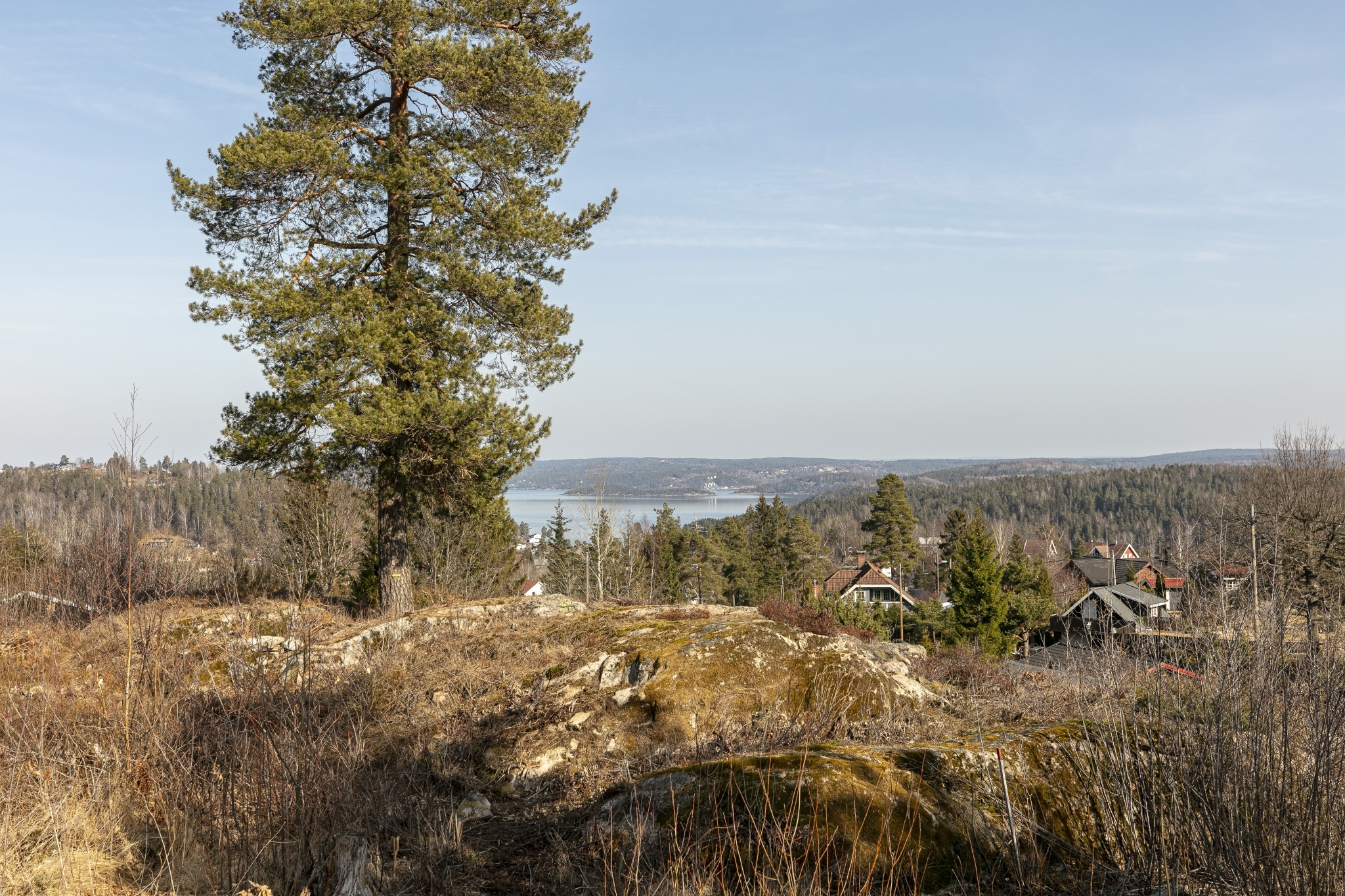 Vestliveien 5
