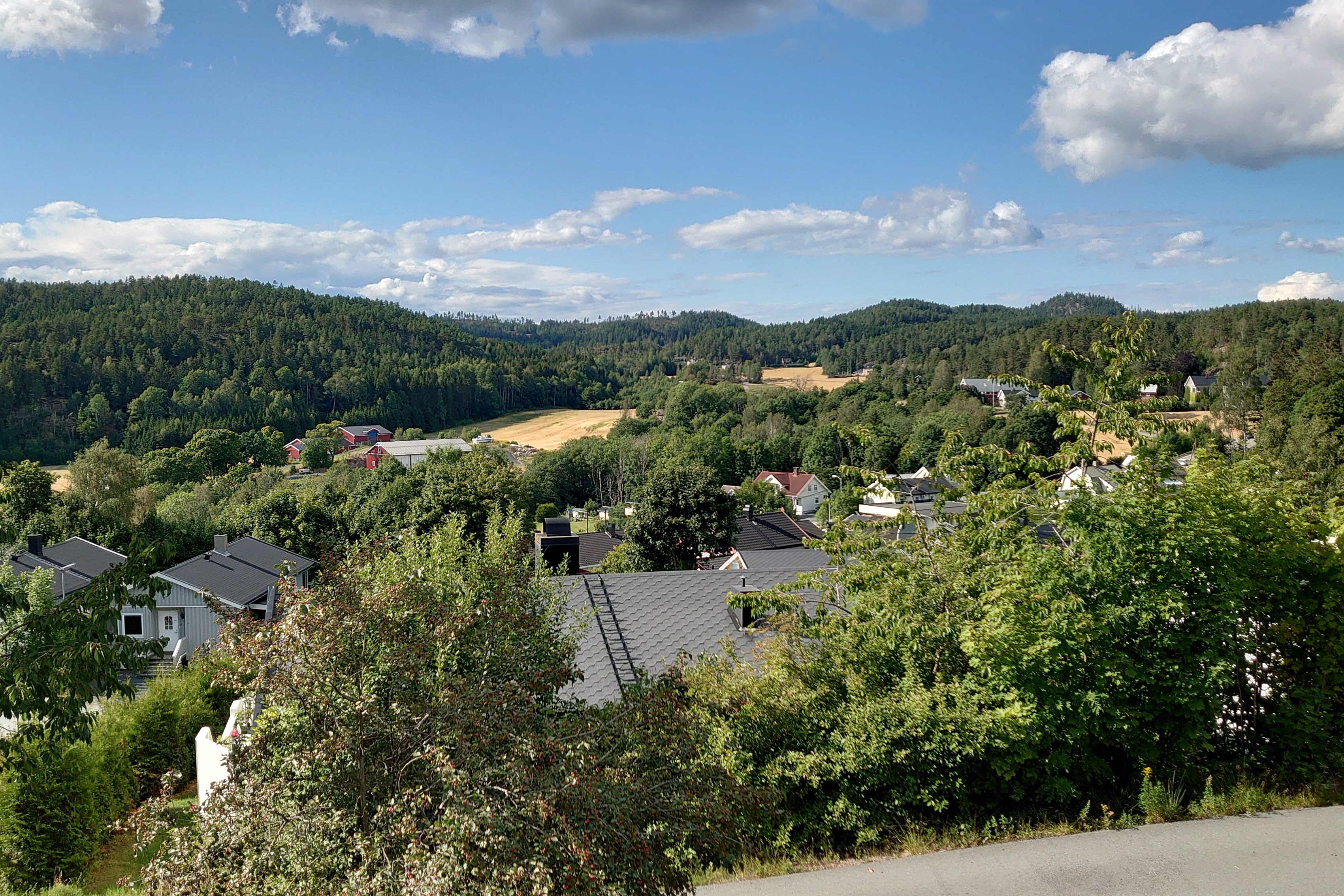 DSC 0150