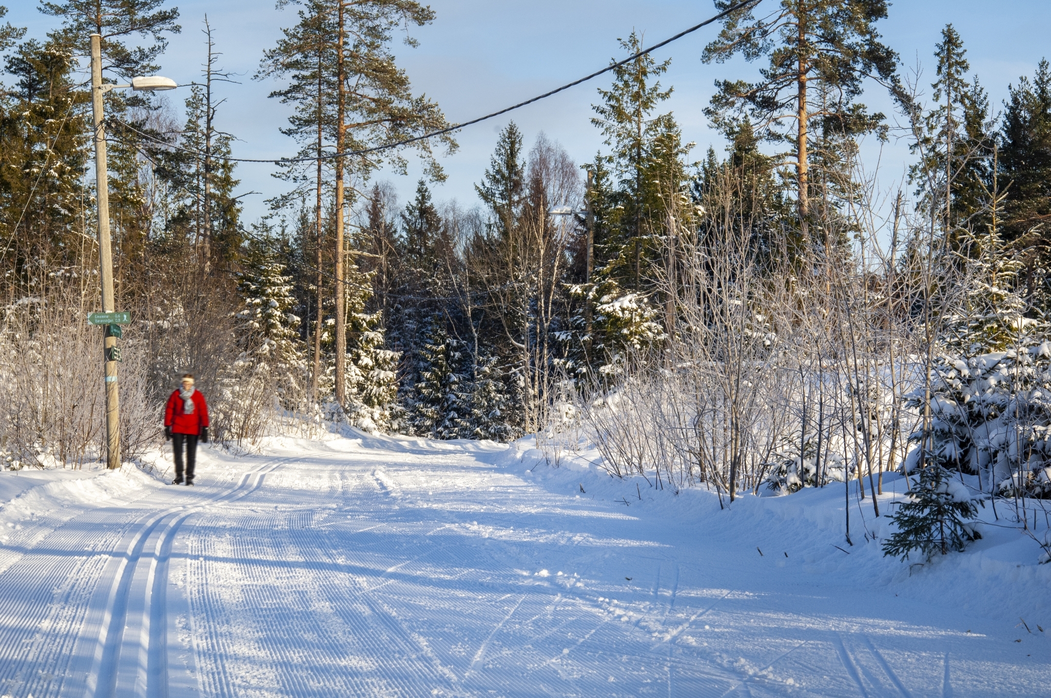 Vinter20201920 20c398stskogen Baarsrudtjern Eikeleina 10