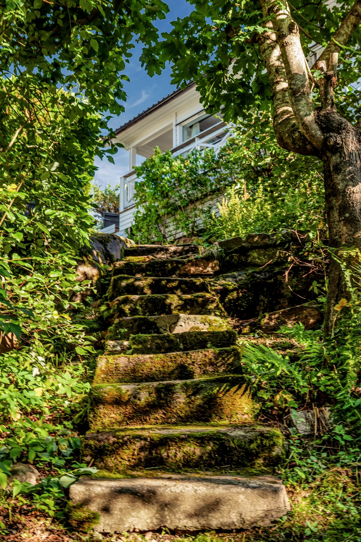 Fbilder2025300000493174457 1 ermosa jpg
