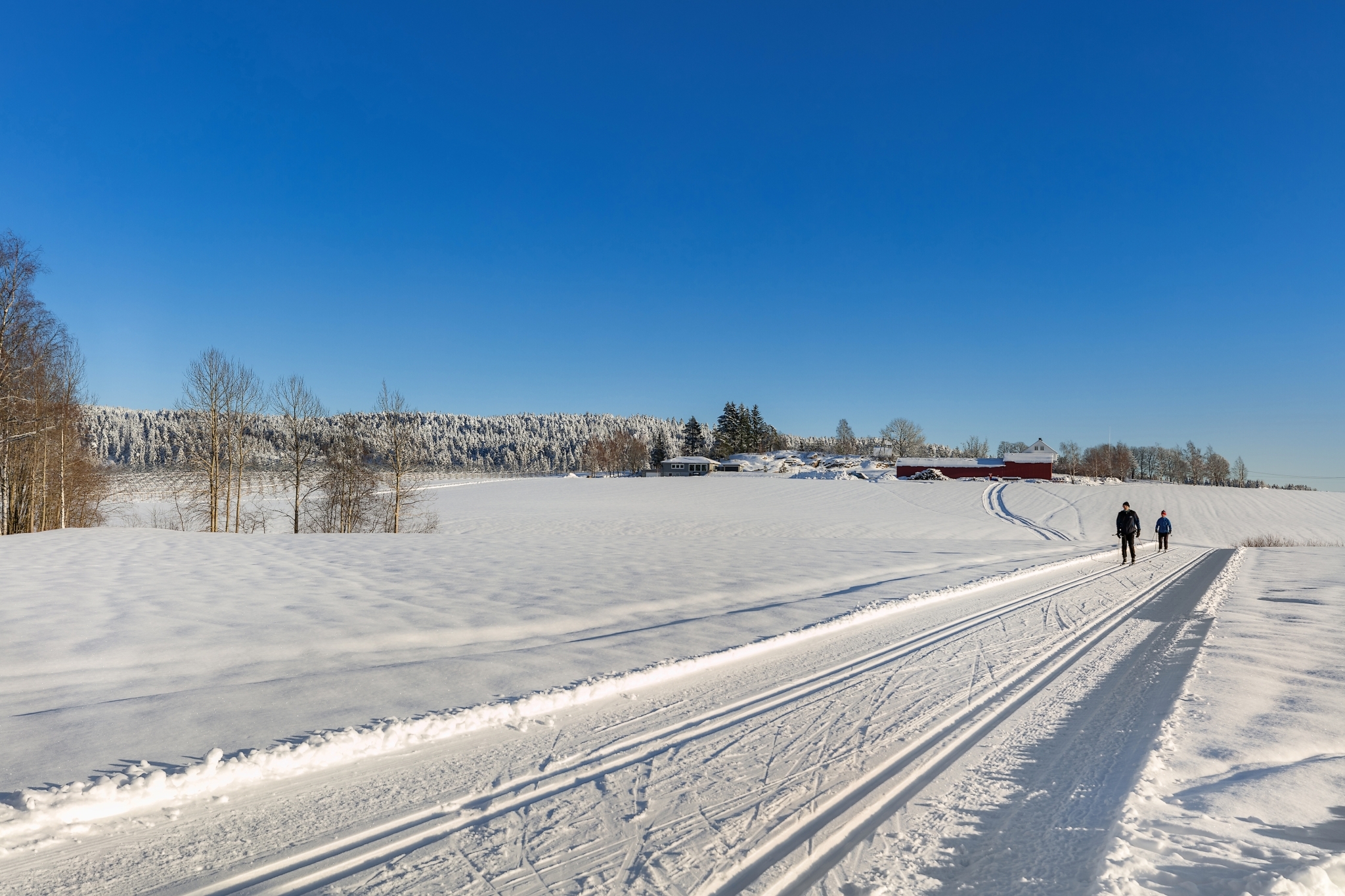 Spikkestad skiloyper